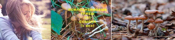 ALPHA PVP Михайловка