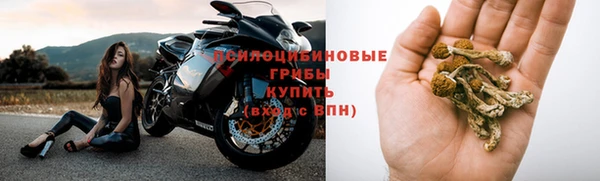 ешки Михайловск
