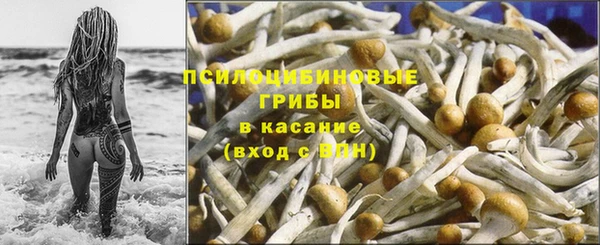 прущие крисы Михайлов