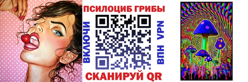 Псилоцибиновые грибы Cubensis  магазин продажи наркотиков  ОМГ ОМГ ССЫЛКА  Яблоновский 